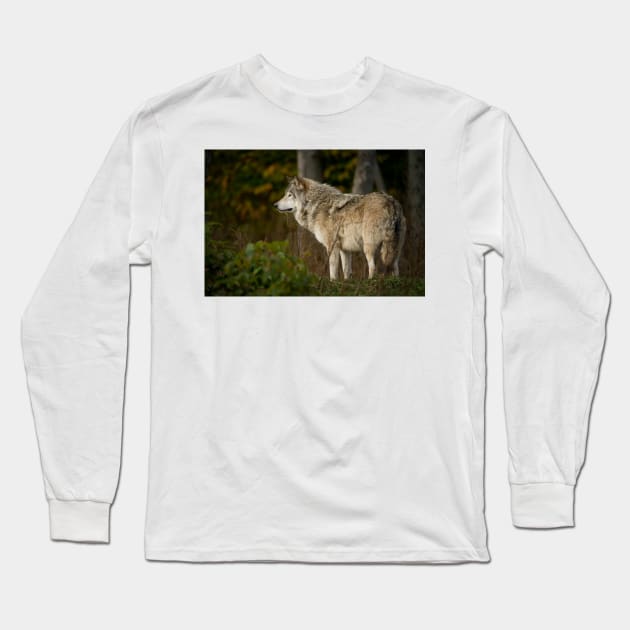 Timber Wolf Long Sleeve T-Shirt by jaydee1400